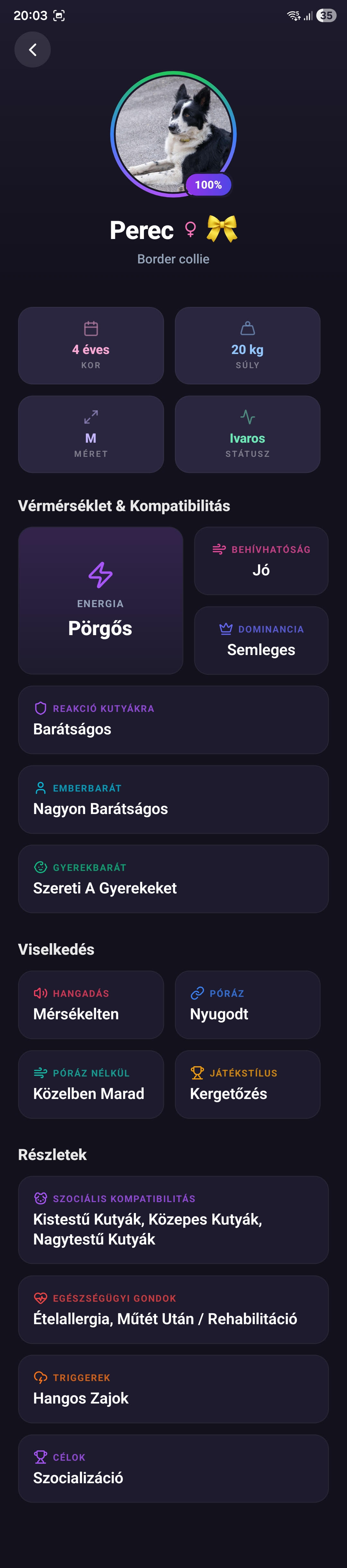 Kutyaprofil 360°-os jellemrajz